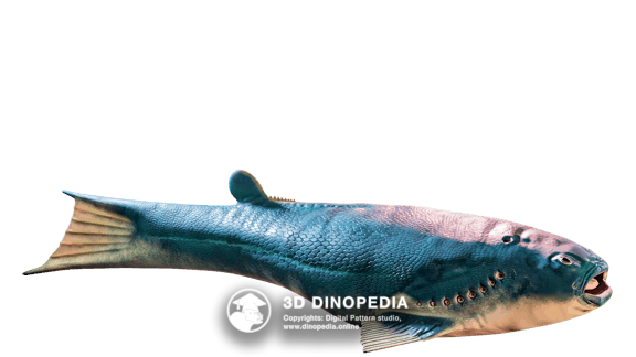 Silurian period Thelodus | 3D Dinopedia