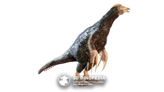 Cretaceous period Tupandactylus 3D Dinopedia