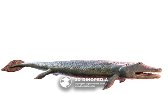 Triassic period Helveticosaurus 3D Dinopedia