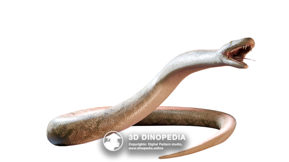 Титанобоа 3D Dinopedia