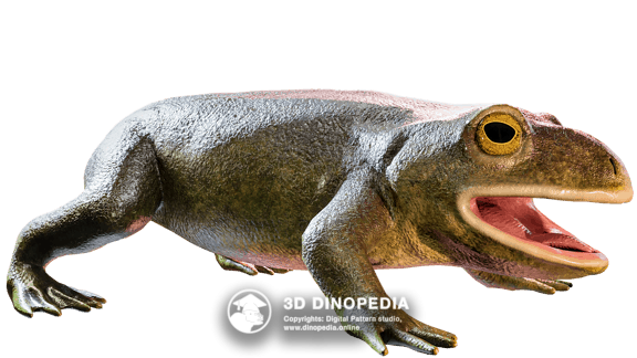 Triadobatrachus | Triassic period | 3D Dinopedia