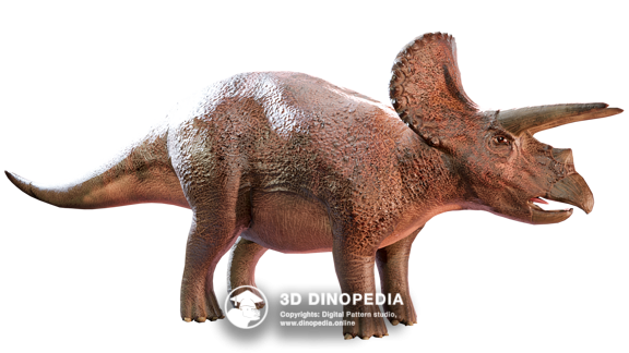 Triceratops 3D Dinopedia