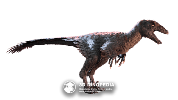 Troodon 3D Dinopedia