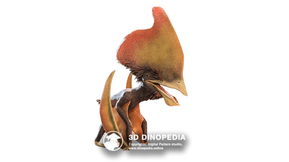 Cretaceous period Medusaceratops 3D Dinopedia