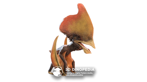 Тупандактиль 3D Dinopedia