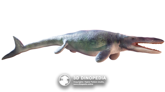 Cretaceous period Confuciusornis 3D Dinopedia