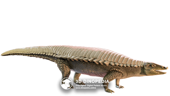 Jurassic period Ceratosaurus 3D Dinopedia