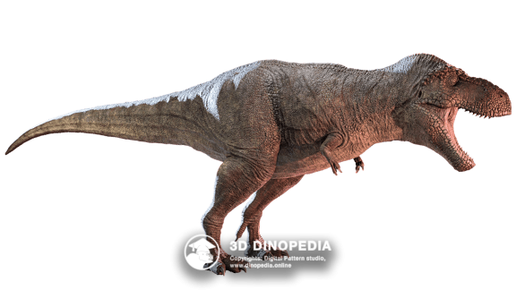 Cretaceous period Stegouros 3D Dinopedia
