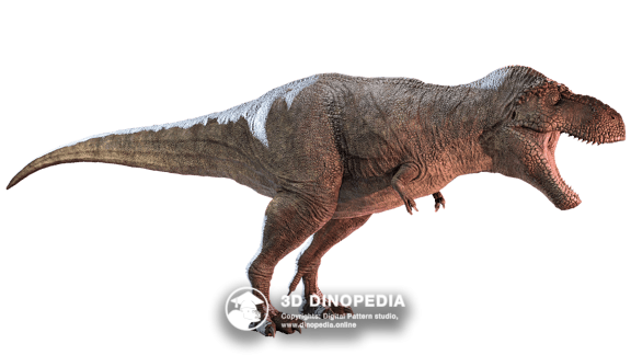 Меловой период Тираннозавр | 3D Dinopedia