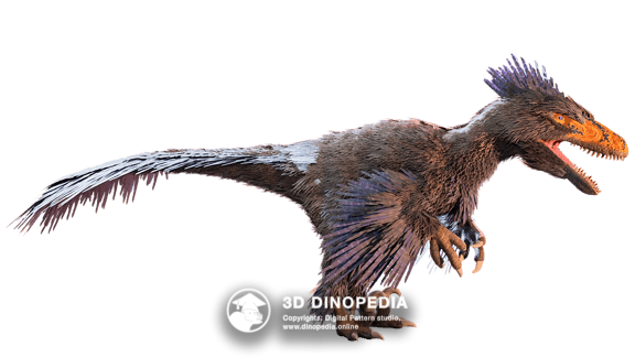 Jurassic period Rhamphorhynchus 3D Dinopedia