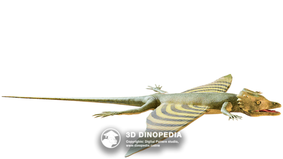 Weigeltisaurus | Permian period | 3D Dinopedia
