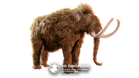 Mammoth 3D Dinopedia