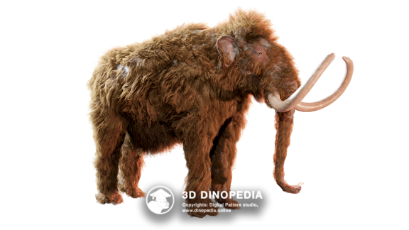 Neogene period Megalodon 3D Dinopedia