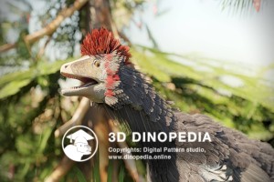 Jurassic period Anchiornis 3D Dinopedia