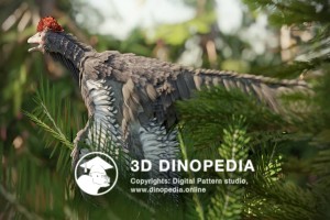 Юрский период Анхиорнис 3D Dinopedia