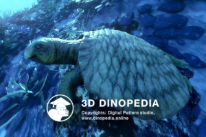 Triassic period Henodus 3D Dinopedia