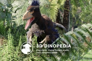 Cretaceous period Utahraptor 3D Dinopedia