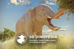 Neogene period Platybelodon 3D Dinopedia