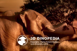 Neogene period Platybelodon 3D Dinopedia