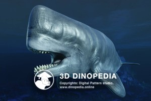 Neogene period Leviathan 3D Dinopedia