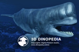 Neogene period Leviathan 3D Dinopedia