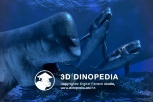 Neogene period Leviathan 3D Dinopedia