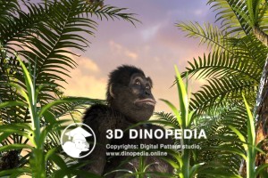 Neogene period Australopithecus 3D Dinopedia