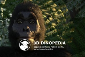 Neogene period Australopithecus 3D Dinopedia