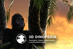 Neogene period Australopithecus 3D Dinopedia