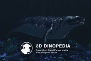 Paleogene period Basilosaurus 3D Dinopedia