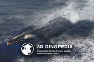 Paleogene period Basilosaurus 3D Dinopedia