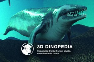 Paleogene period Basilosaurus 3D Dinopedia