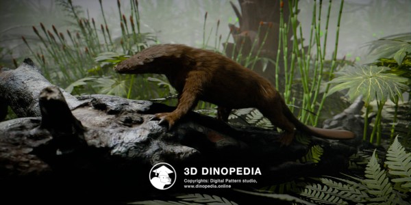 Юрский период Касторокауда 3D Dinopedia