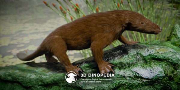 Юрский период Касторокауда 3D Dinopedia