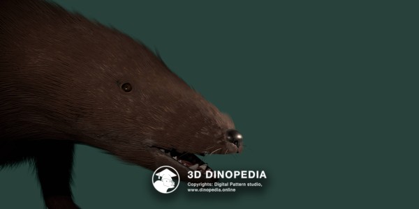Юрский период Касторокауда 3D Dinopedia