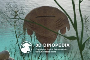 Devonian period Cephalaspis 3D Dinopedia