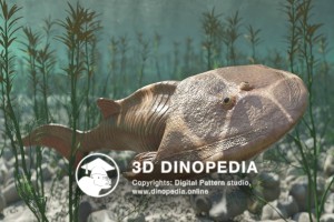 Devonian period Cephalaspis 3D Dinopedia