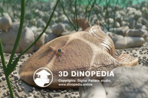 Devonian period Cephalaspis 3D Dinopedia