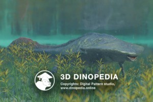 Пермский период Диплокаул 3D Dinopedia