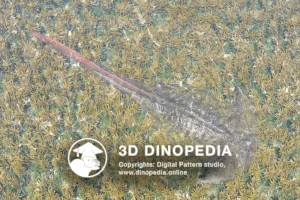 Пермский период Диплокаул 3D Dinopedia