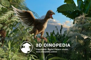 Cretaceous period Iberomesornis 3D Dinopedia