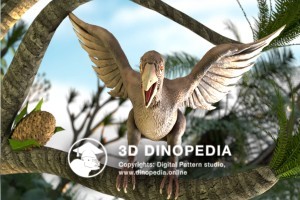 Cretaceous period Iberomesornis 3D Dinopedia