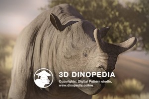 Paleogene period Megacerops 3D Dinopedia