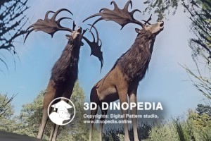 Четвертичный период Большерогий олень 3D Dinopedia