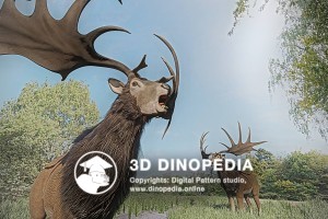 Четвертичный период Большерогий олень 3D Dinopedia