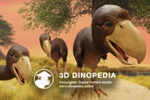 Neogene period Phorusrhacos 3D Dinopedia