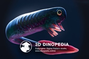 Ordovician period Promissum 3D Dinopedia