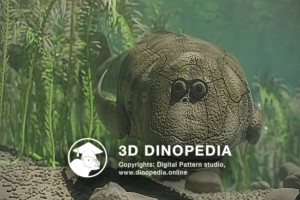 Devonian period Bothriolepis 3D Dinopedia