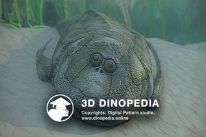 Devonian period Bothriolepis 3D Dinopedia