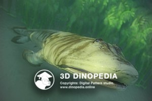 Devonian period Panderichthys 3D Dinopedia